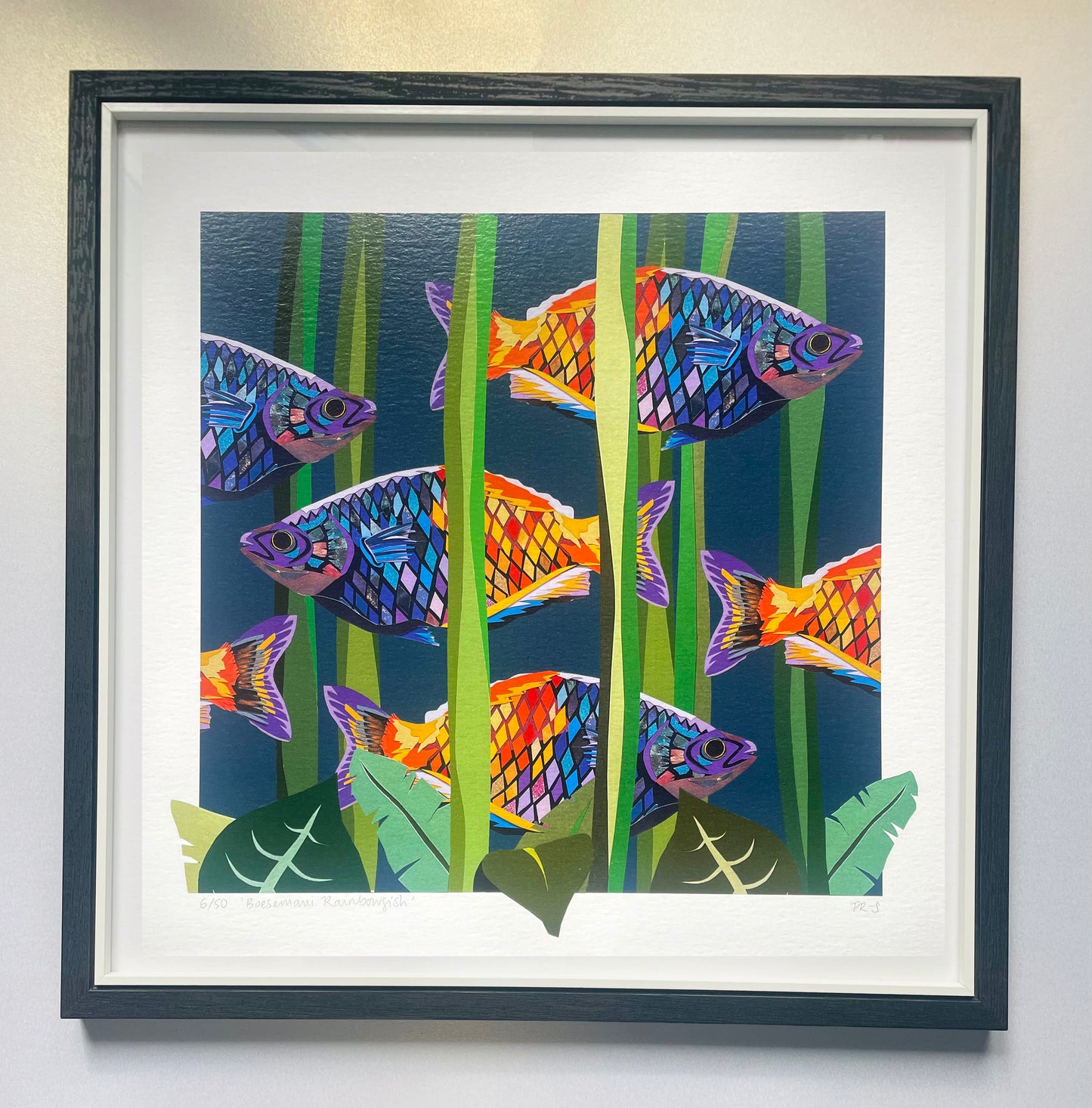 Limited Edition Rainbowfish Print