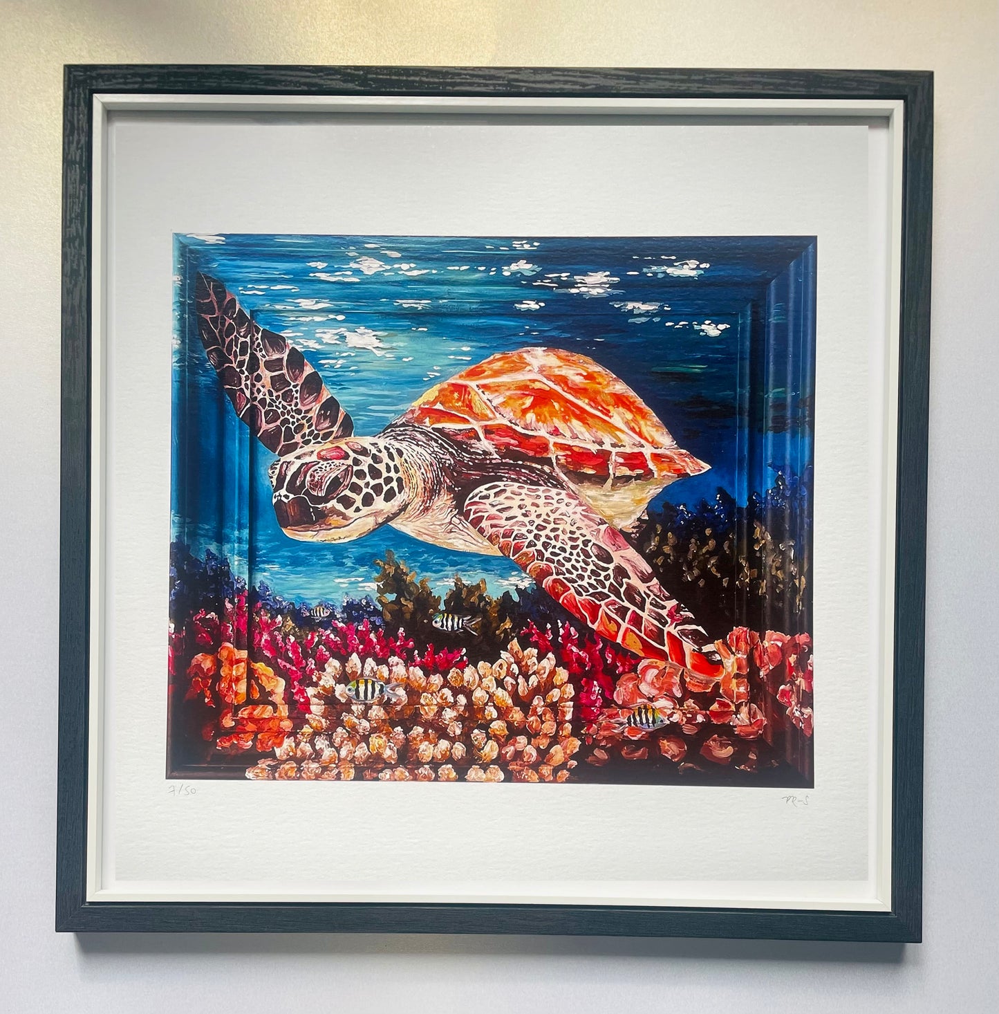 Limited Edition Sea Turtle Print