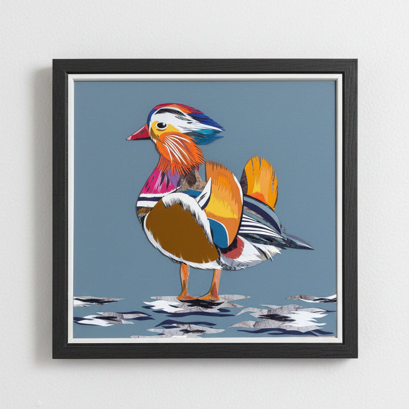 Framed artwork of a colourful mandarin duck on a blue background