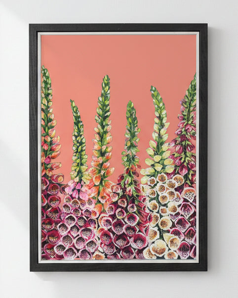 A framed floral art print featuring tall green spires of foxglove flowers with pink, red, and cream blossoms against a solid coral background, housed in a black frame.