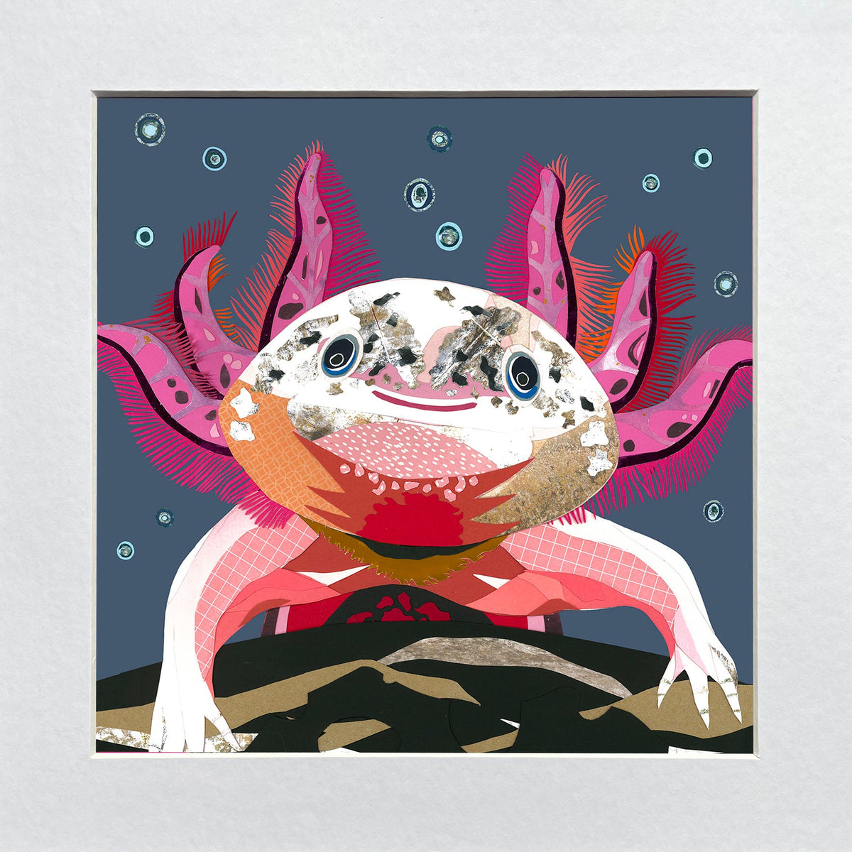 Illustration of a axolotl with pink gills on a blue background, in a white mount.