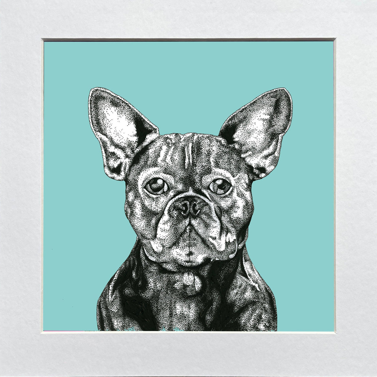 Mounted artwork of a black and white french bulldog on a teal background