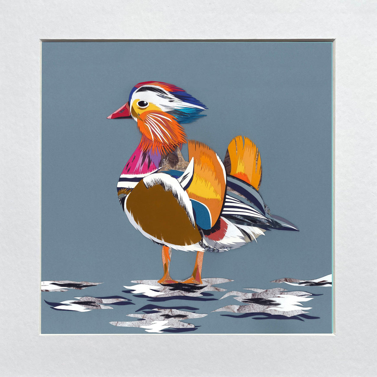 Colourful mandarin duck illustration on a blue background in a white mount.
