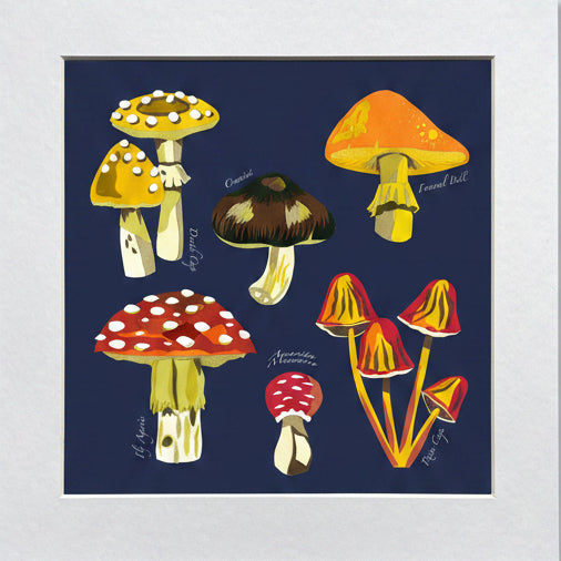 A colorful artwork print featuring various species of mushrooms with distinct patterns and colours on a navy background, presented in a white mount.