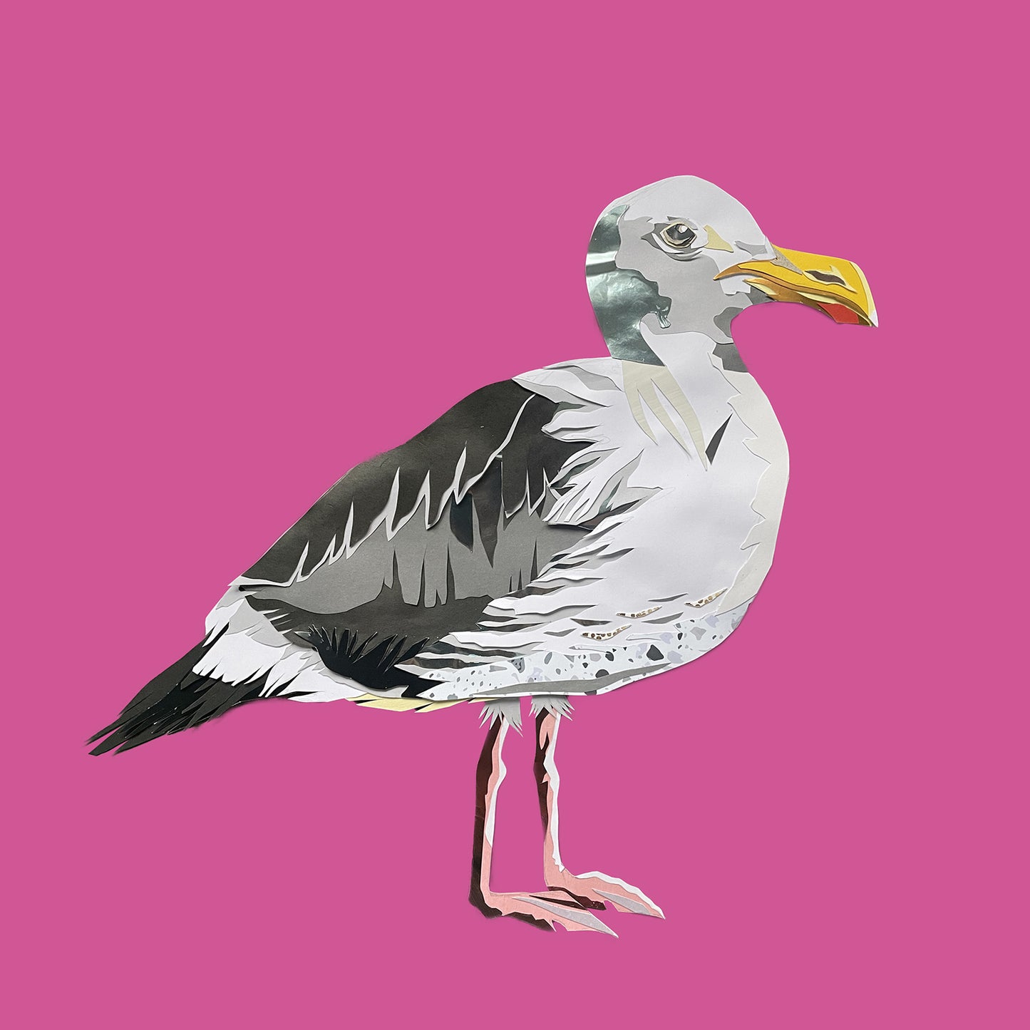 Seagull Print