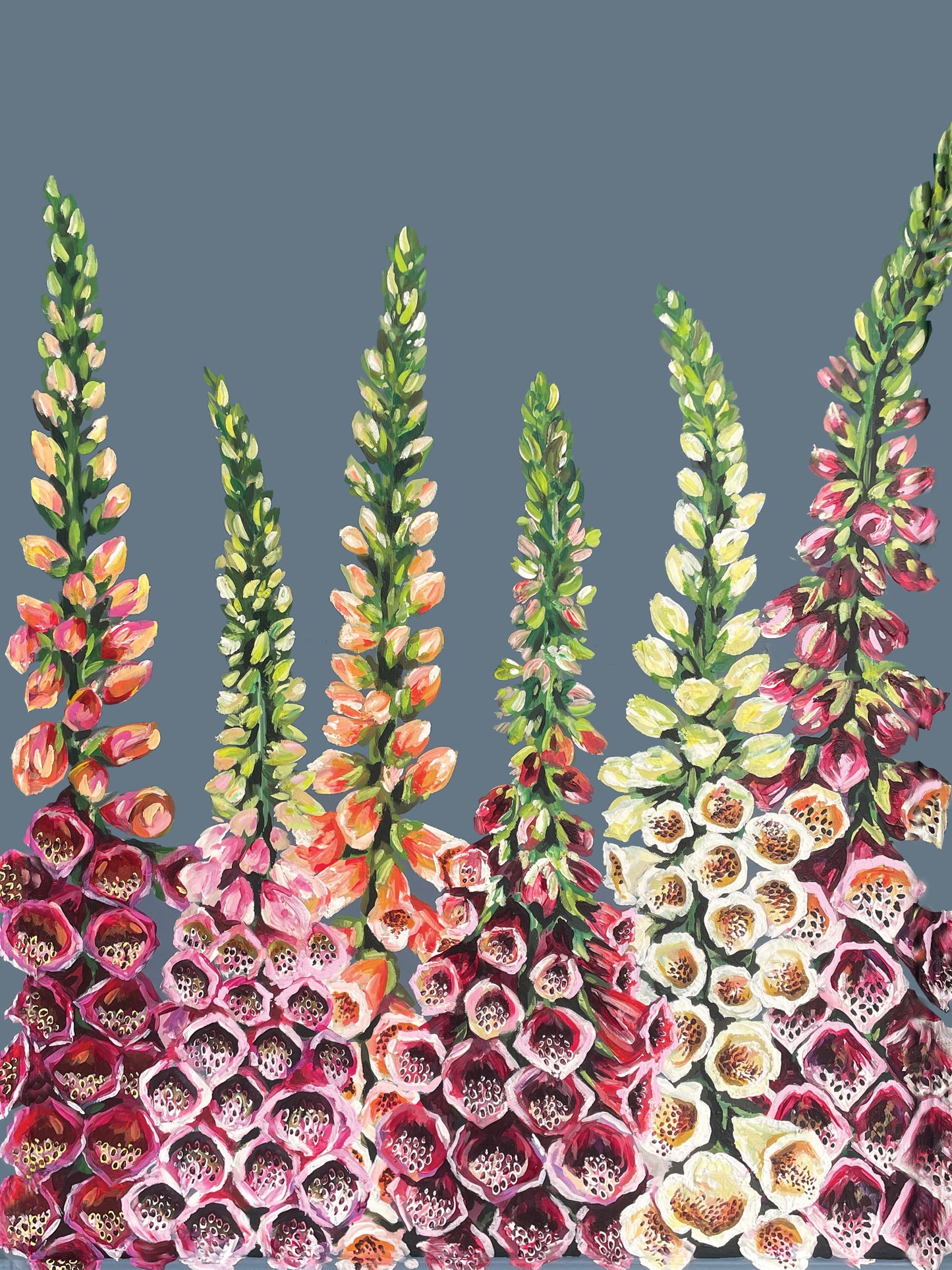 Large Framed Foxgloves Print