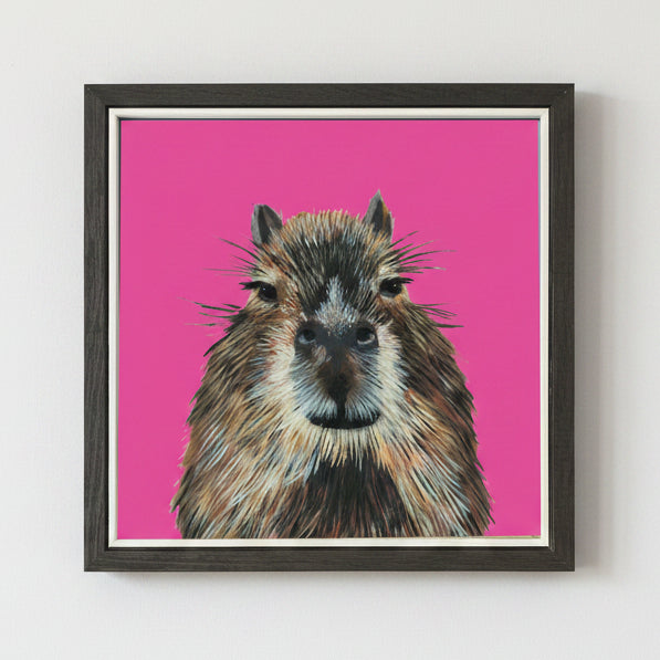 Framed capybara on pink background print.