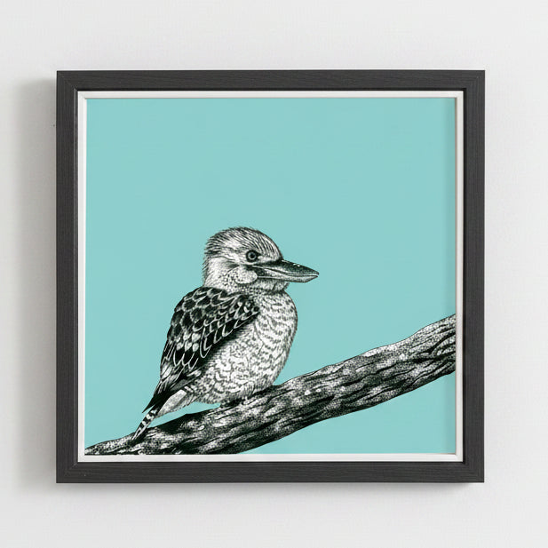 Framed illustration of a kookaburra on a branch with a teal background