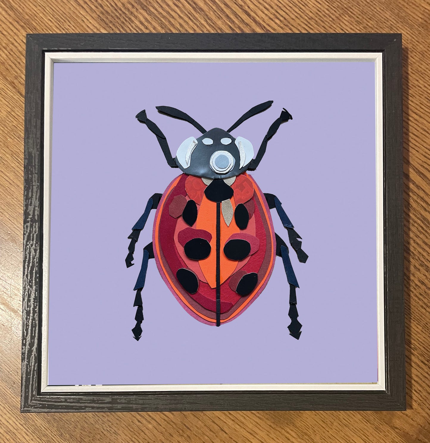 Ladybird Print