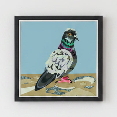Framed pigeon print on a blue background.