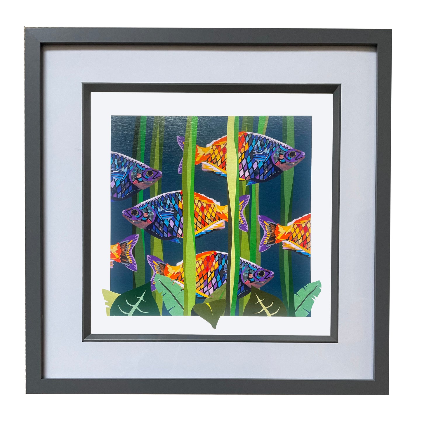 Limited Edition Rainbowfish Print
