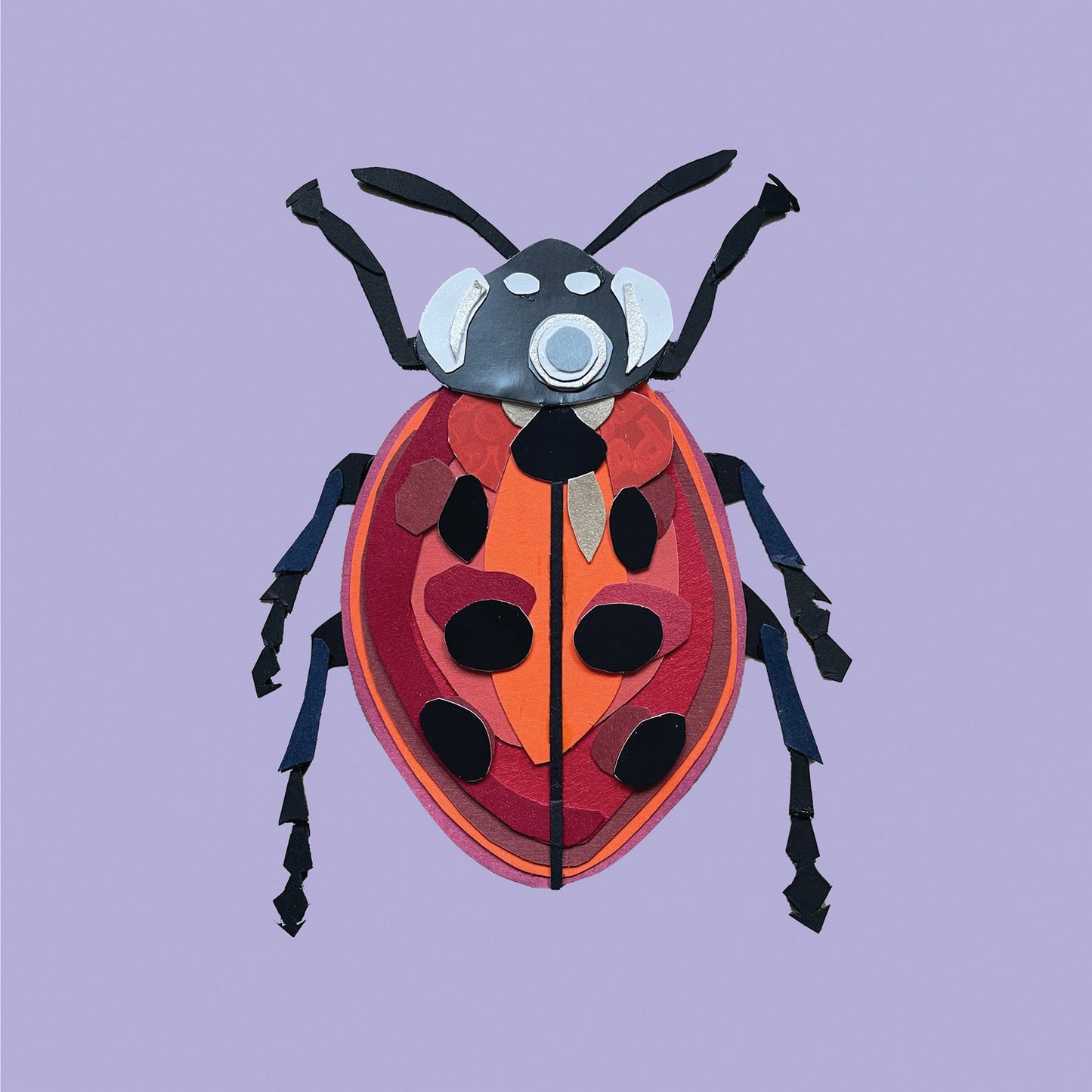 Ladybird Print