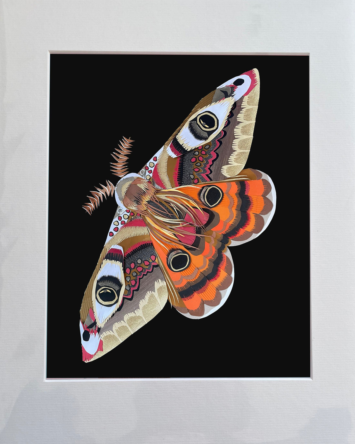 Emperor Moth Print