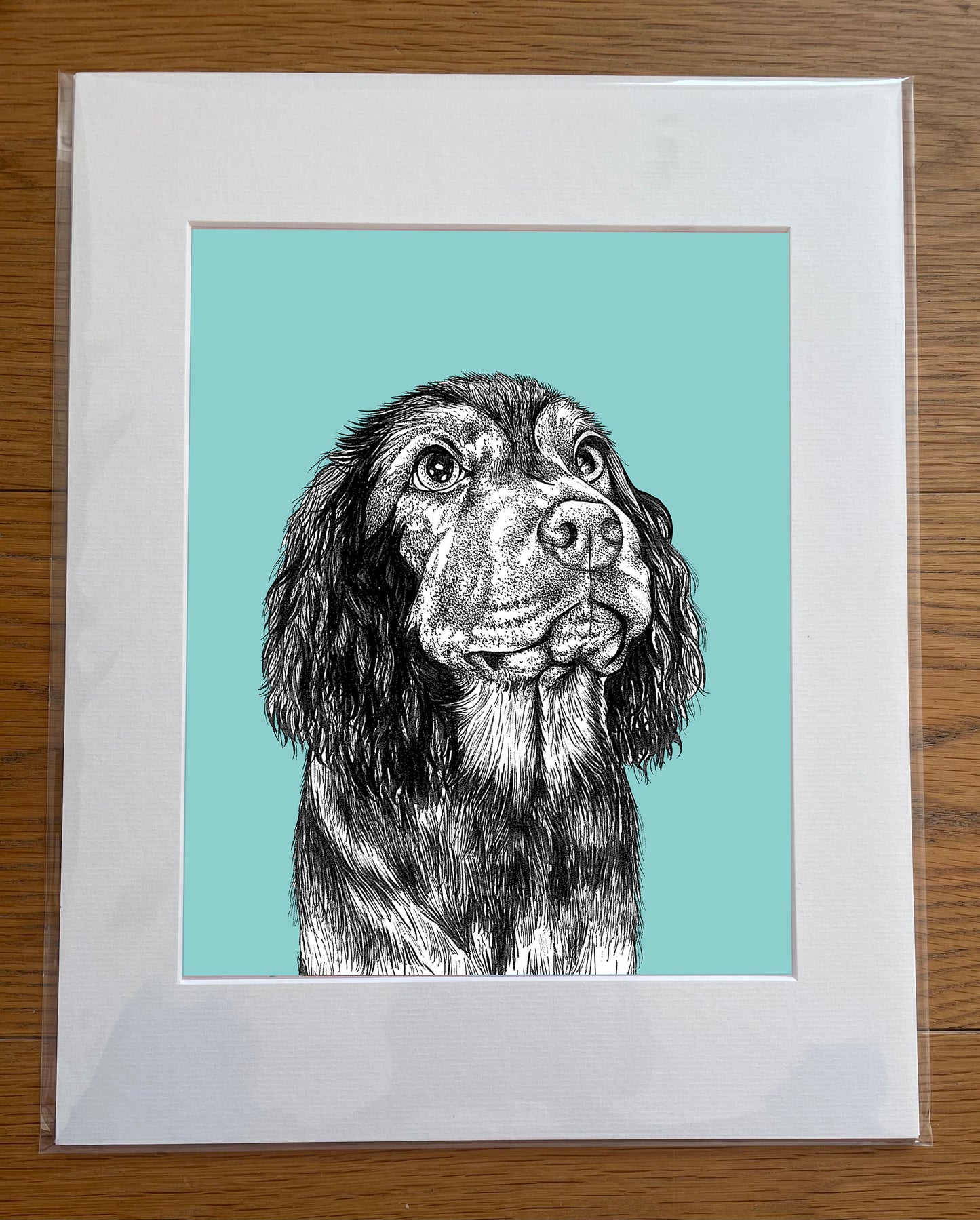 Spaniel Print