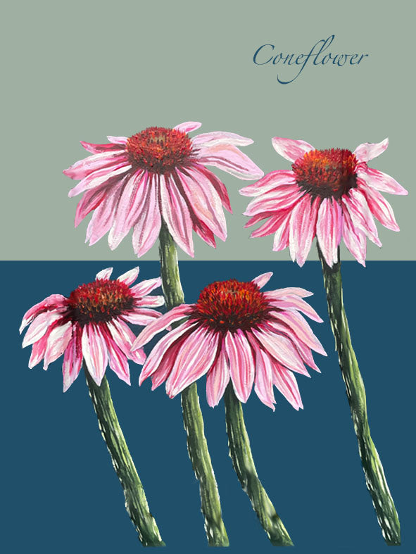 A5 Coneflower Print