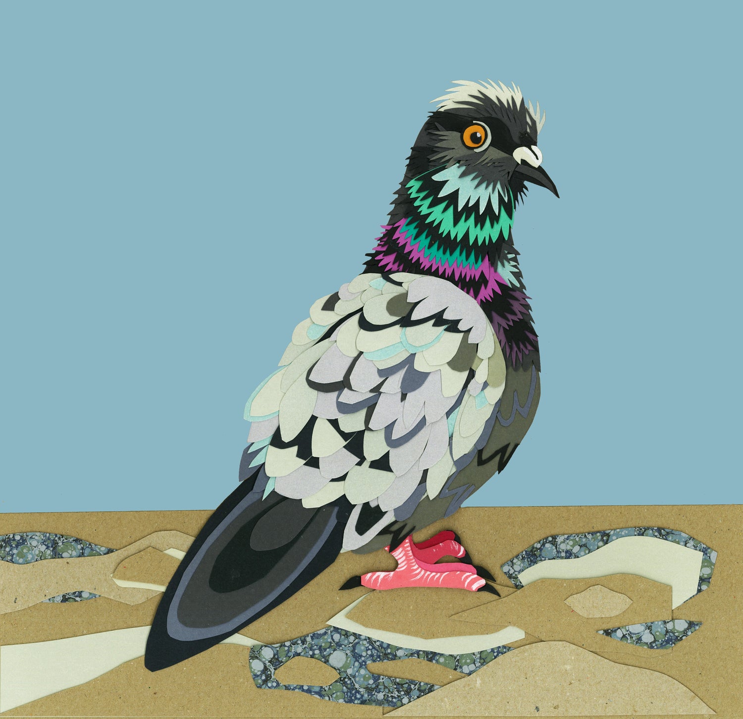 Bird Collection
