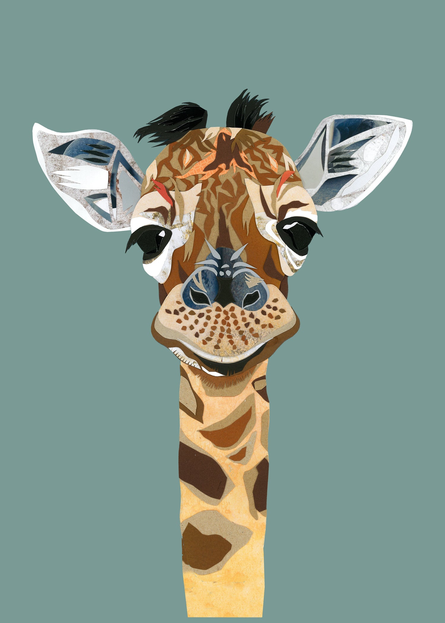 Safari Collection