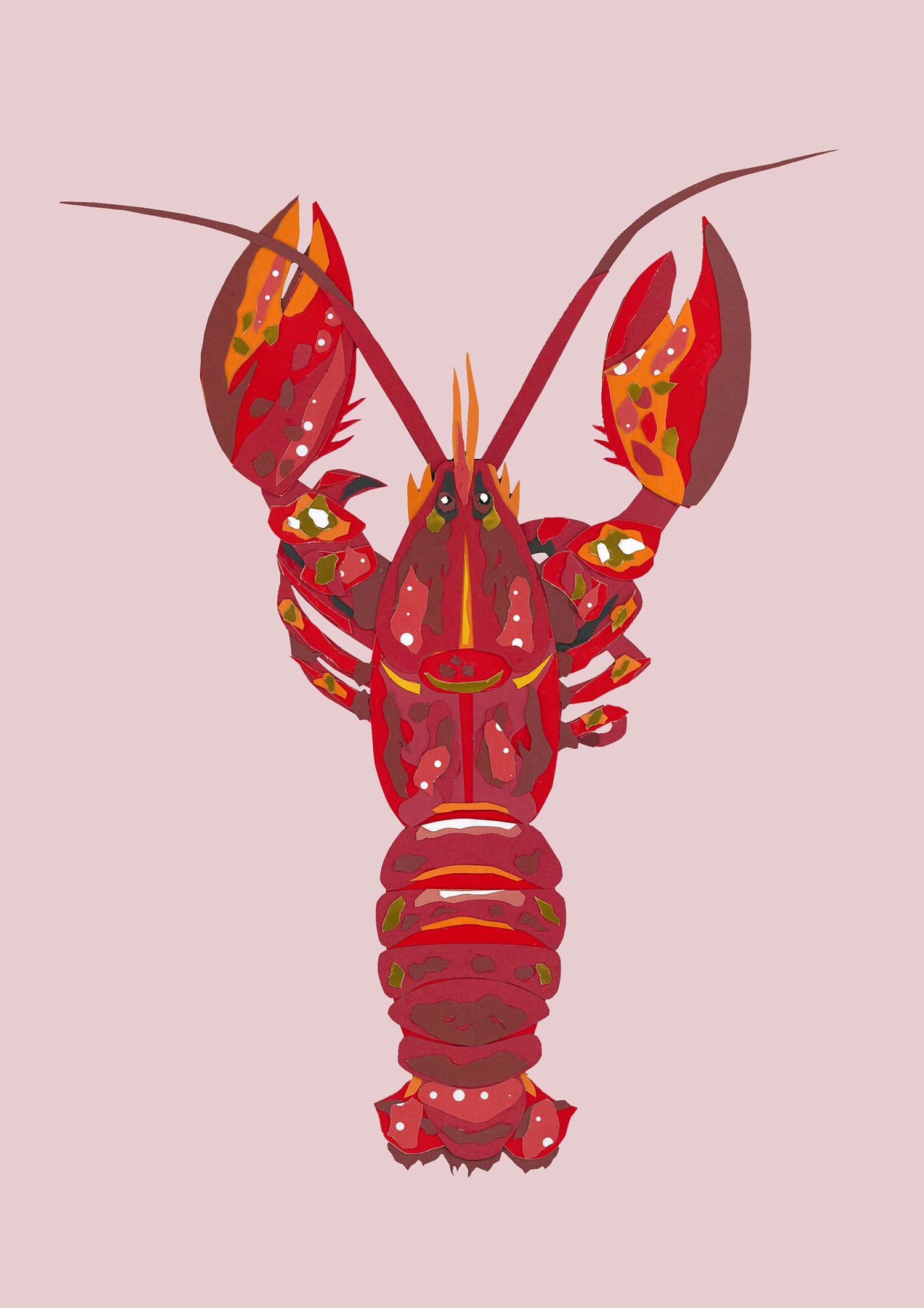 Sea Creature Collection