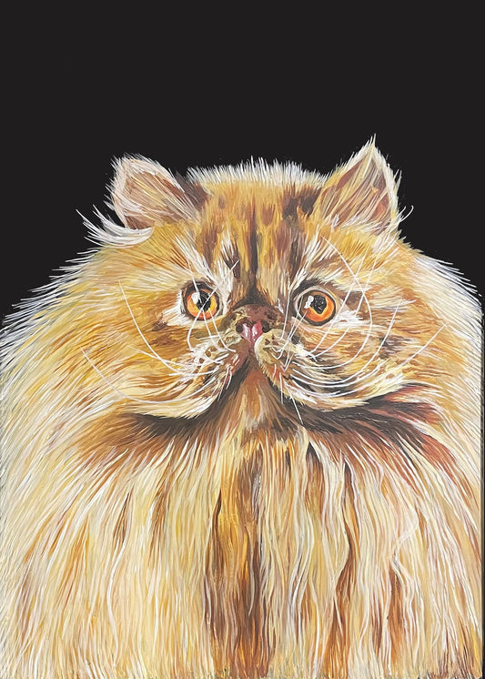 Persian Cat Print