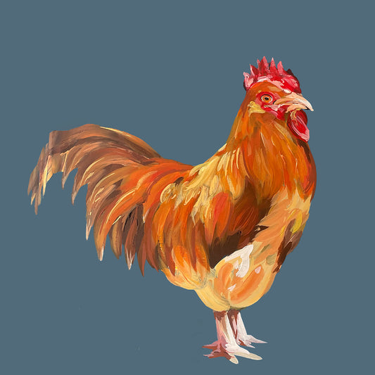 Lincolnshire Buff Chicken Print