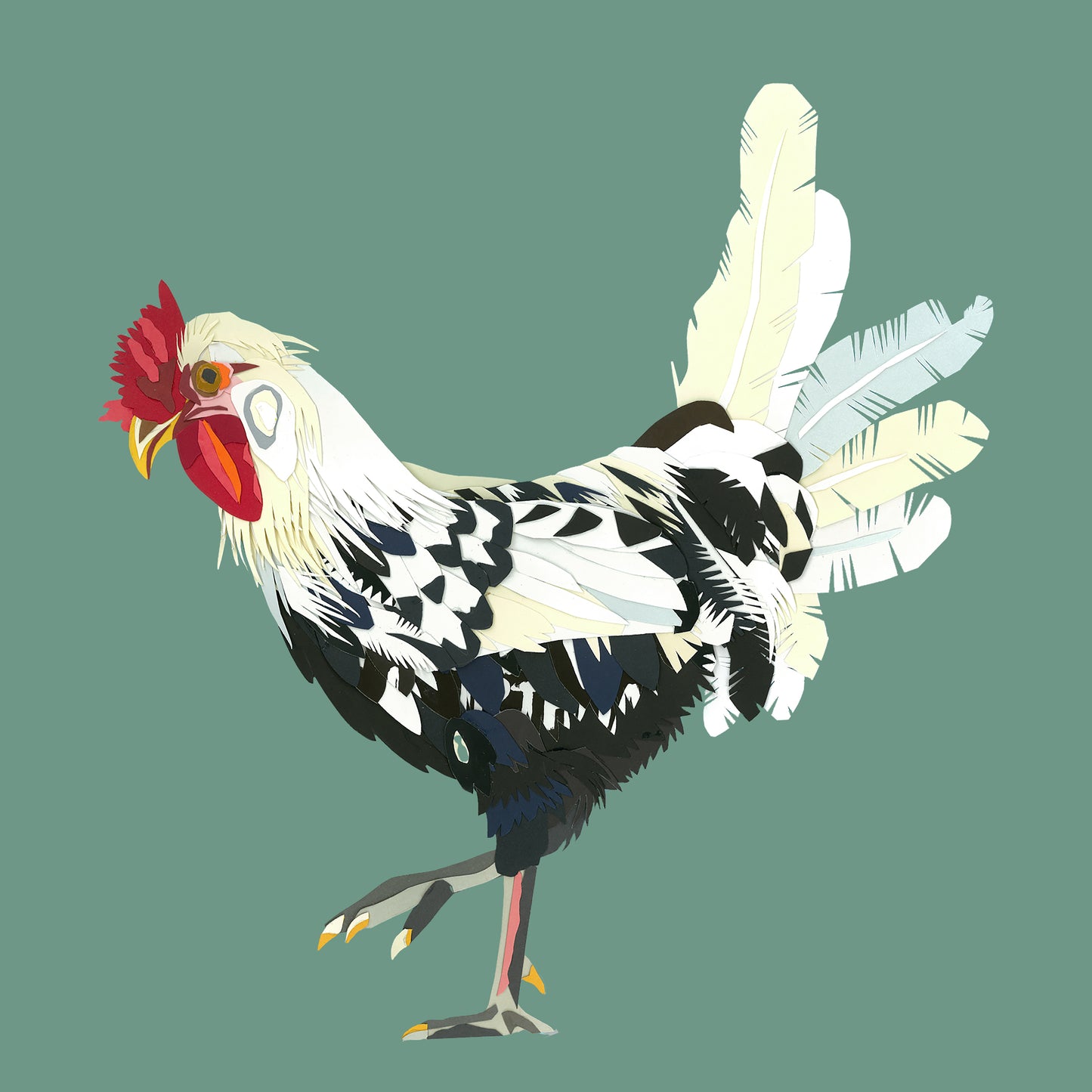 Cockerel Print