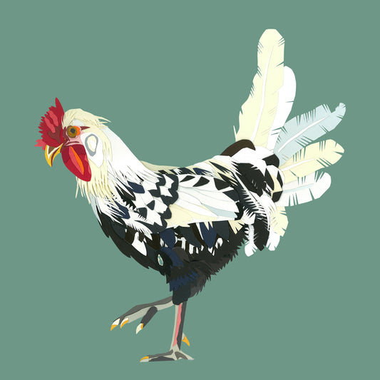 Cockerel Print