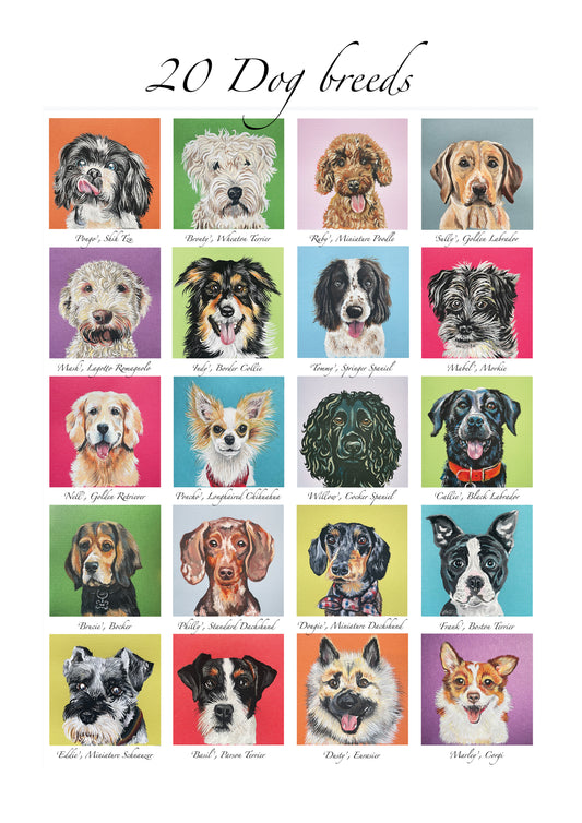 Dog Breeds print