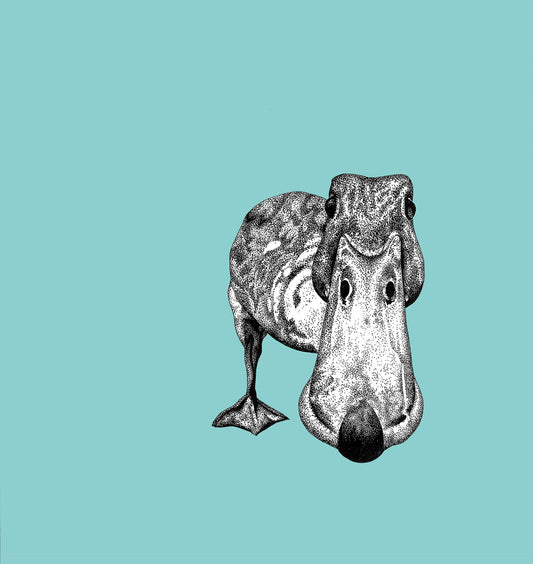 Duck Print