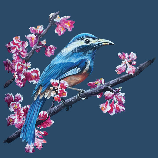 Eastern bluebird large print