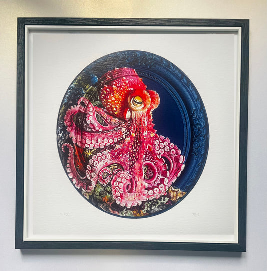 Limited Edition Octopus Print