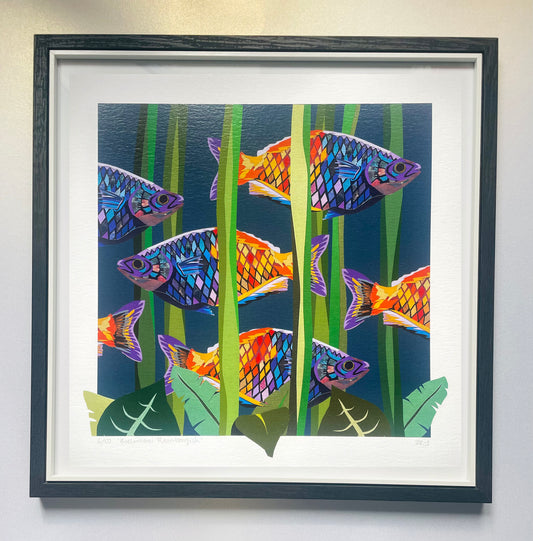 Limited Edition Rainbowfish Print