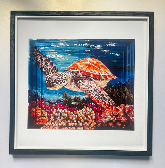 Limited Edition Sea Turtle Print