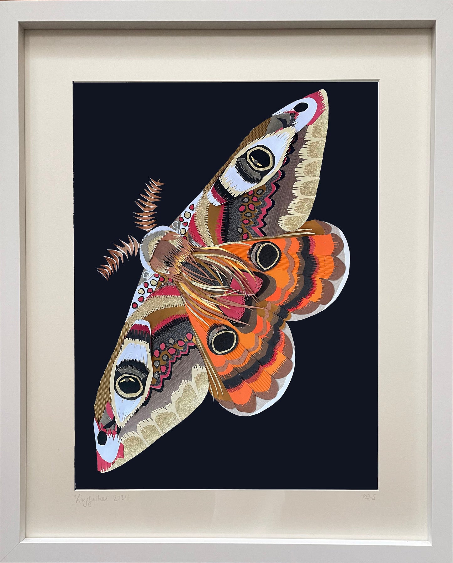 Large Framed Emperor Moth Print