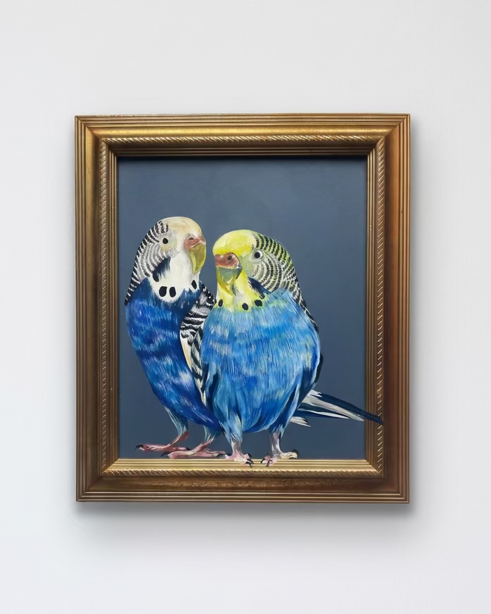 Budgerigars Acrylic Painted Frame