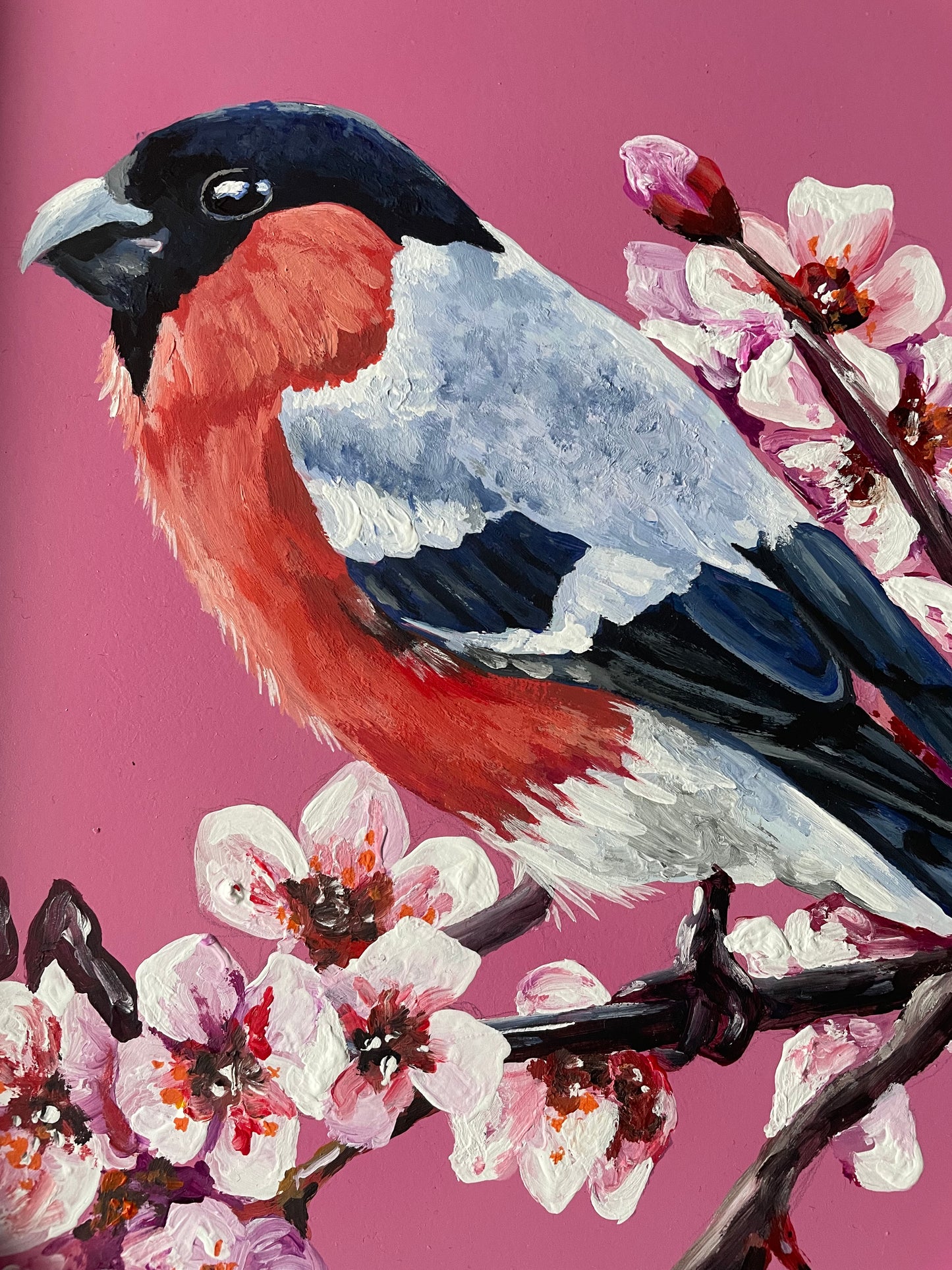 Bullfinch painted frame