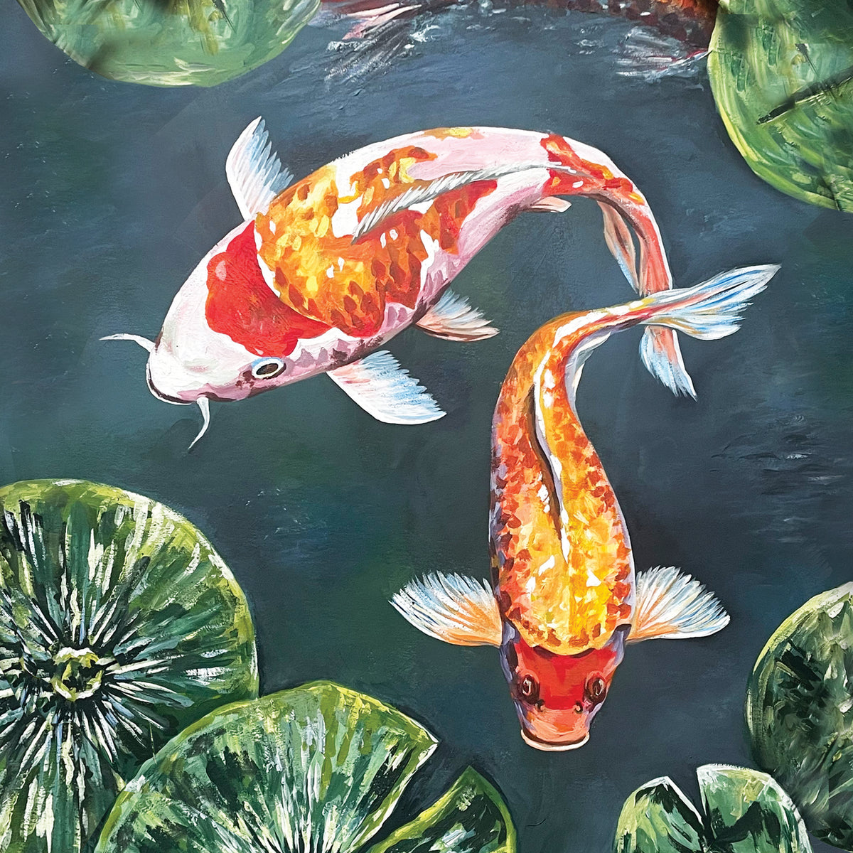 Large Koi Carp Print