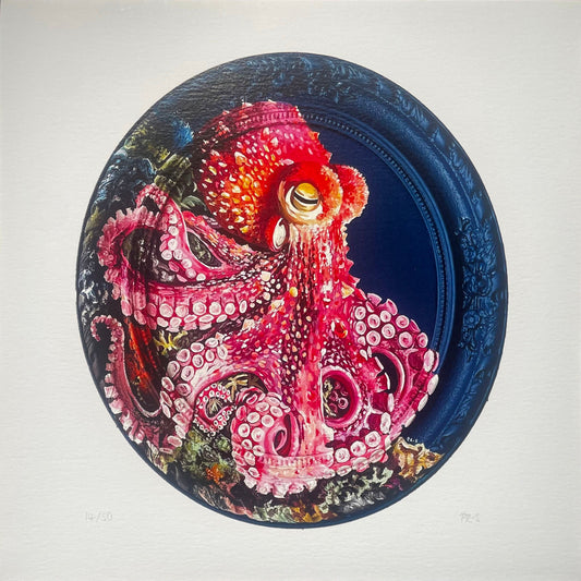 Limited Edition Octopus Print