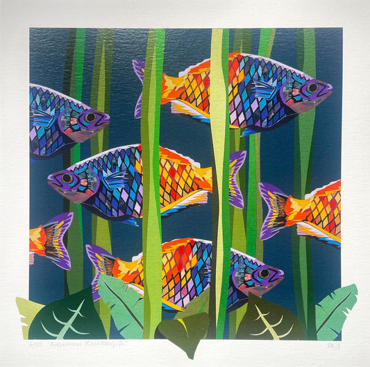 Limited Edition Rainbowfish Print