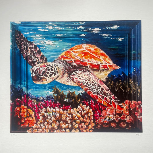 Limited Edition Sea Turtle Print