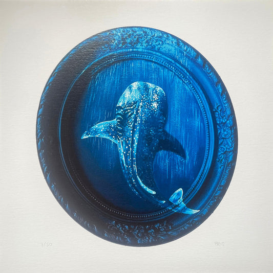 Limited Edition Whale Shark Print