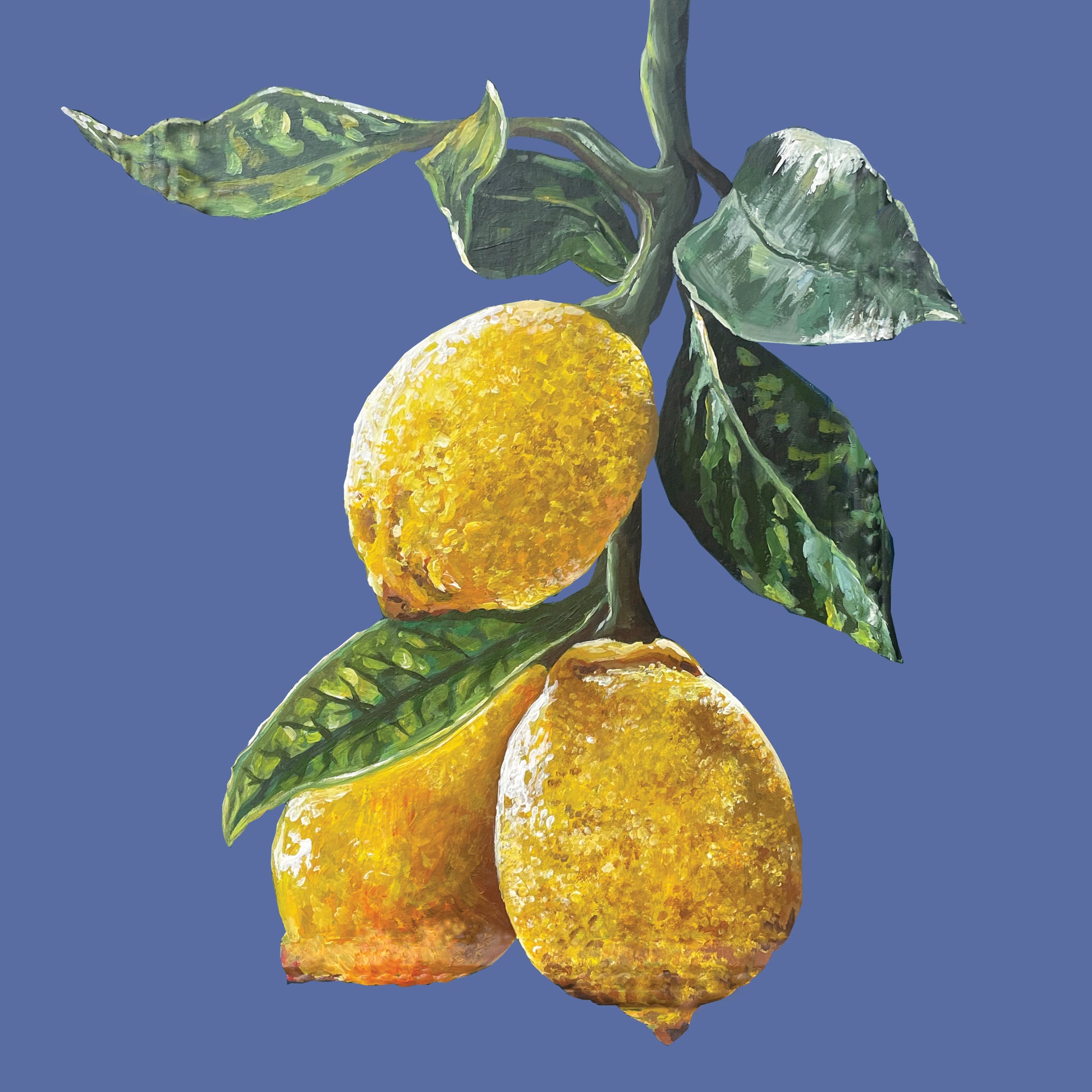 Acrylic painting of three lemons with green leaves on a blue background
