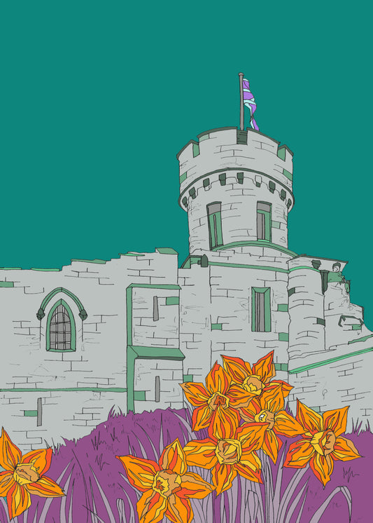 Lincoln Castle Print