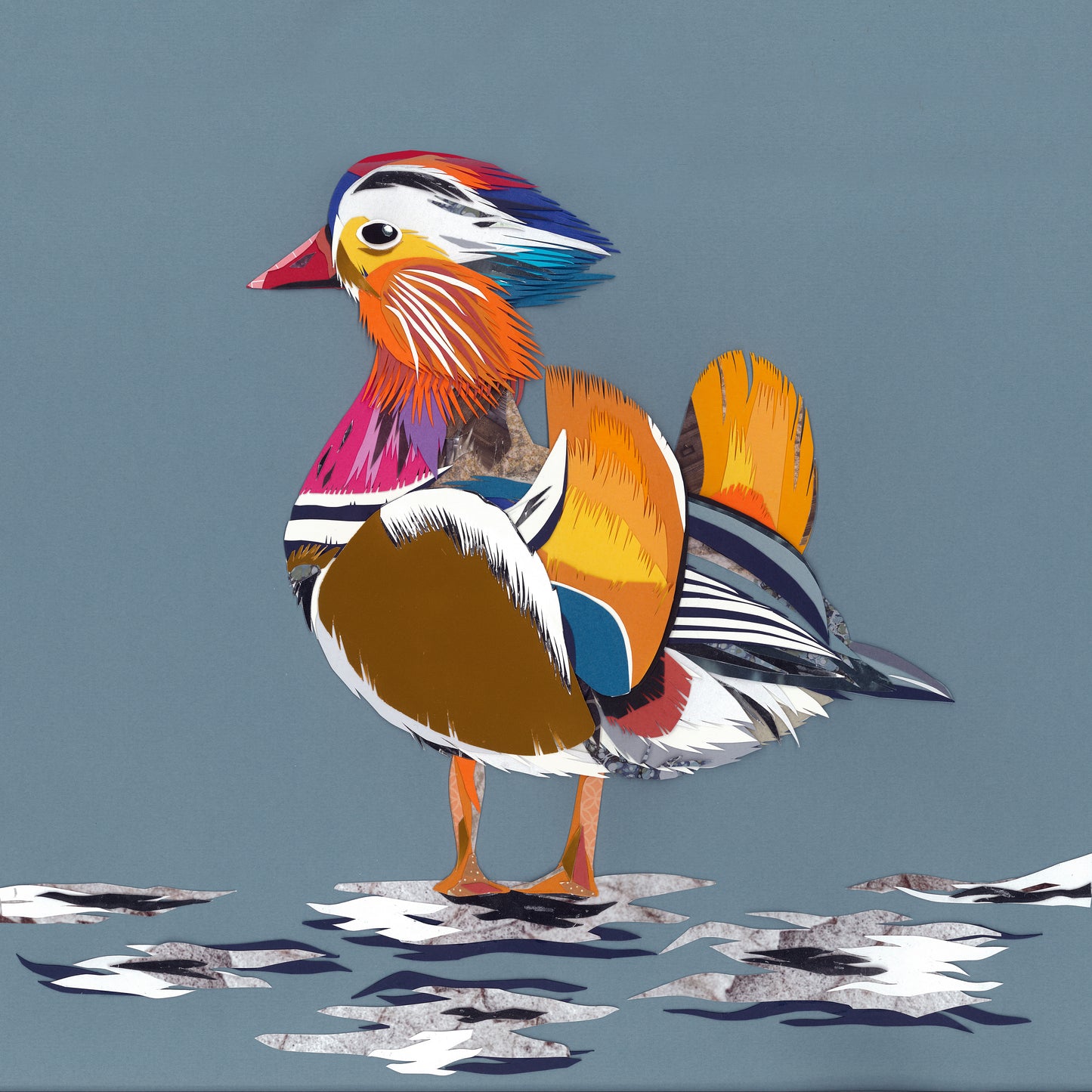 Mandarin Duck Print