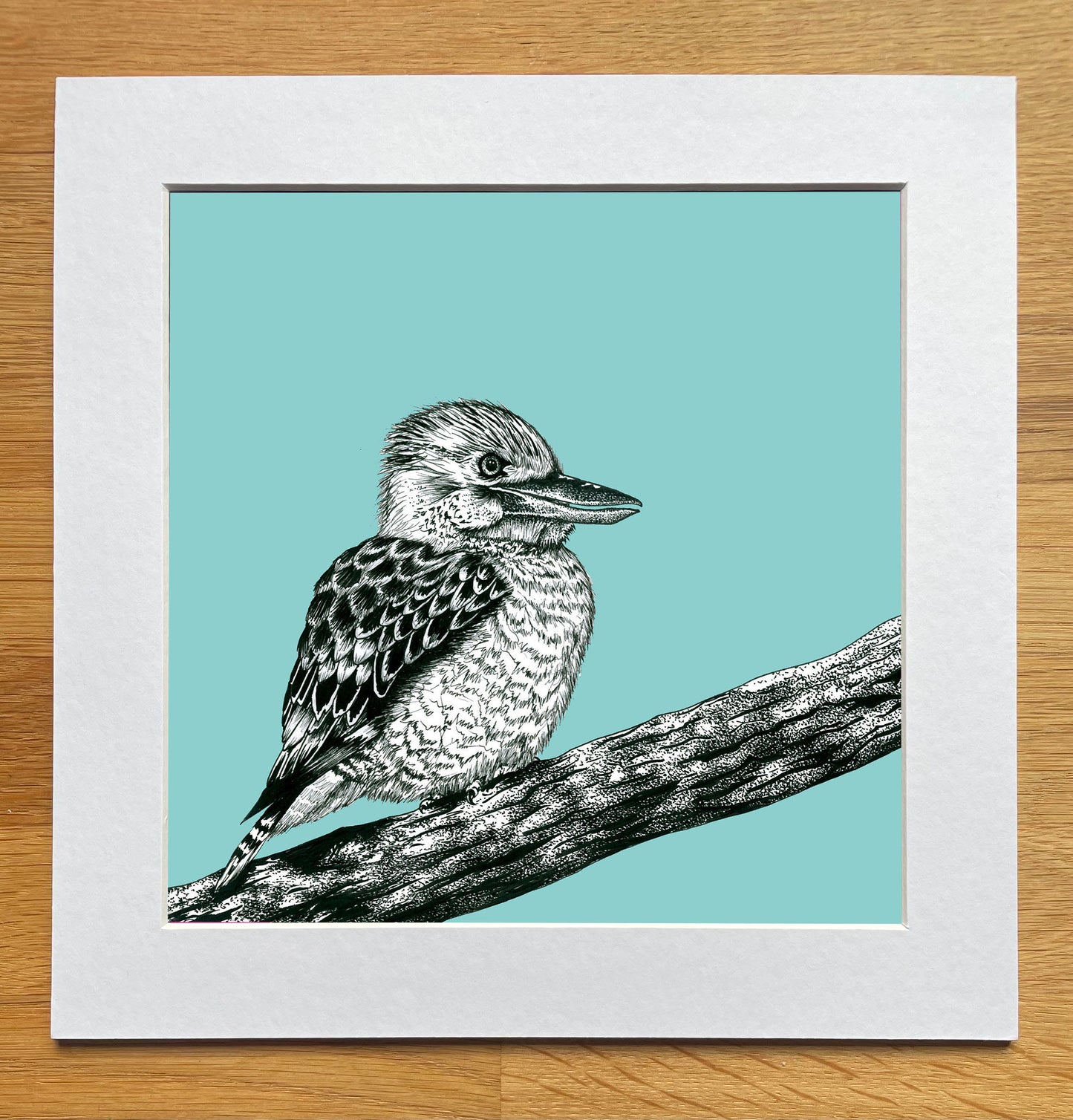 Kookaburra Print