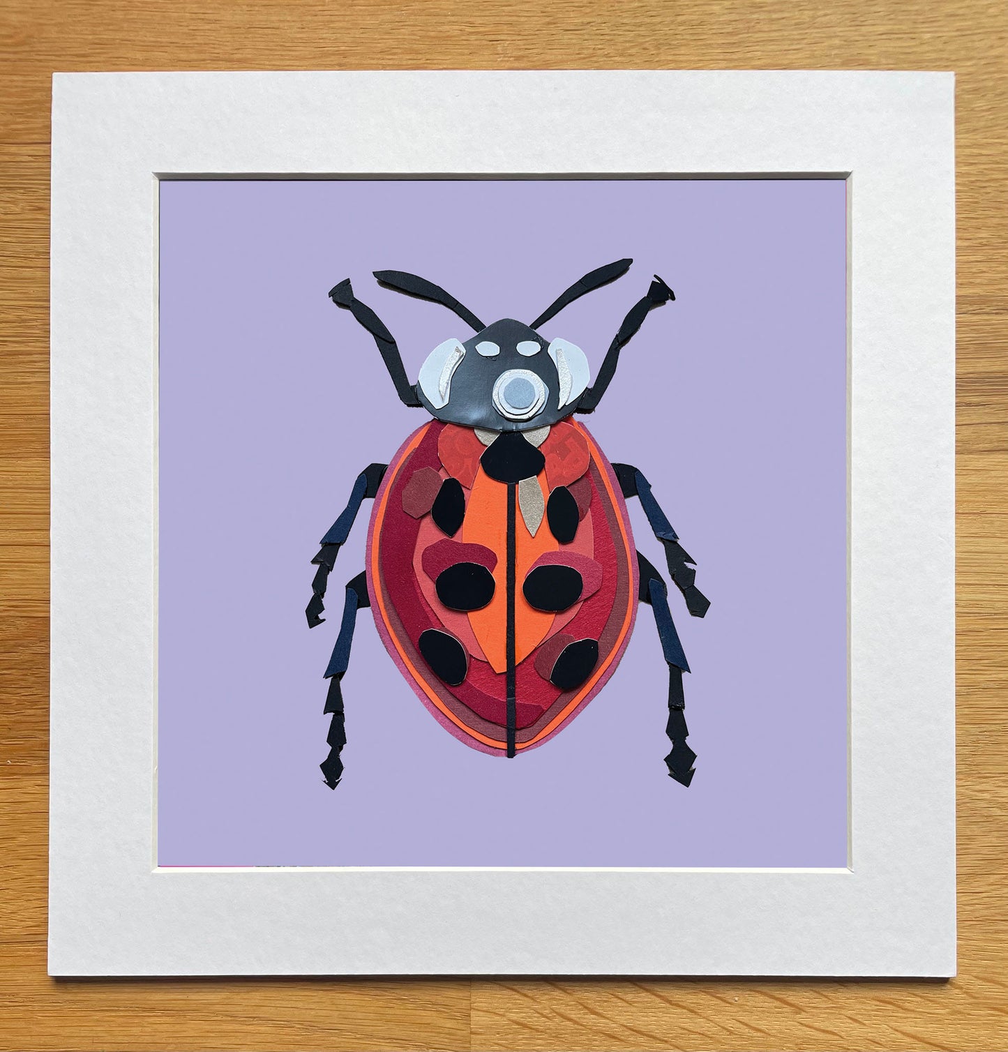 Ladybird Print