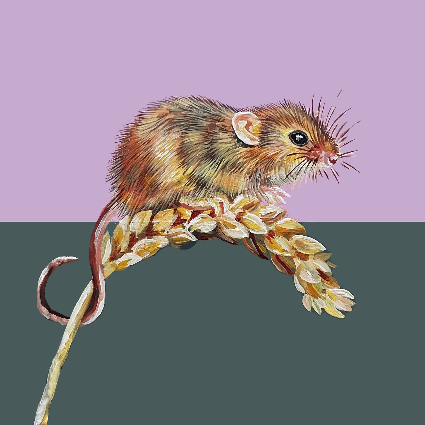 Mouse print