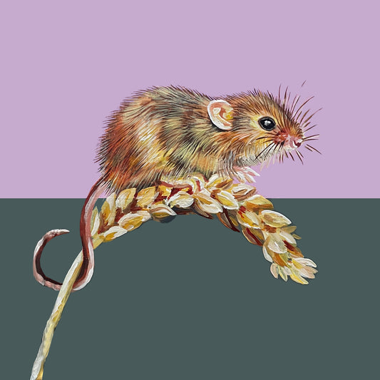 Mouse print