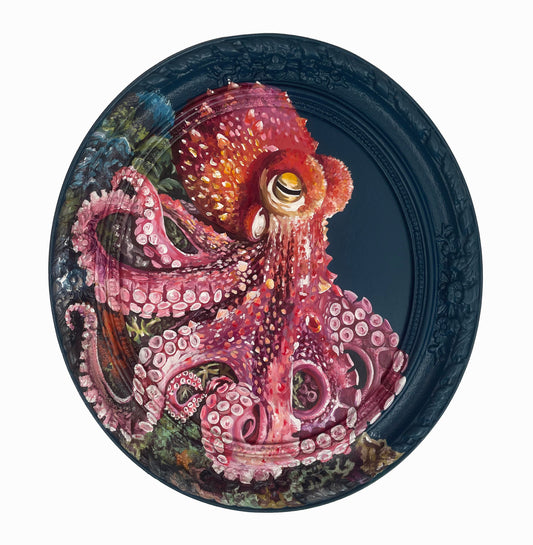 Octopus painted frame