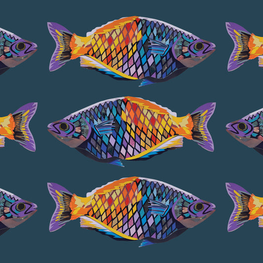 Rainbowfish Print