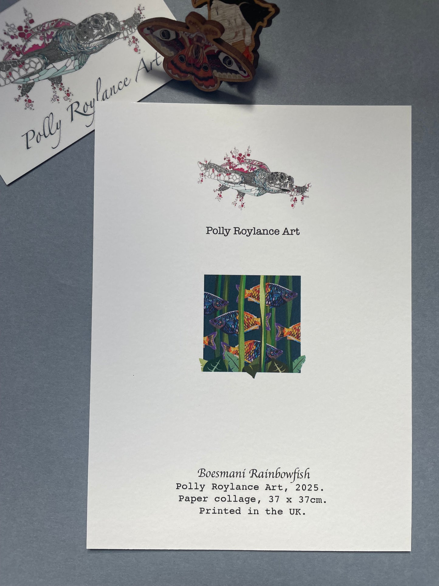 Rainbowfish Mini Print